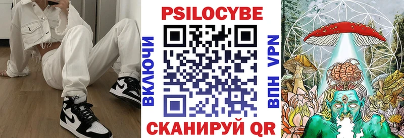 Купить закладки  Баймак  Галлюциногенные грибы GOLDEN TEACHER 